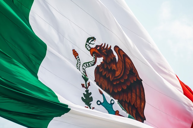 Vlag